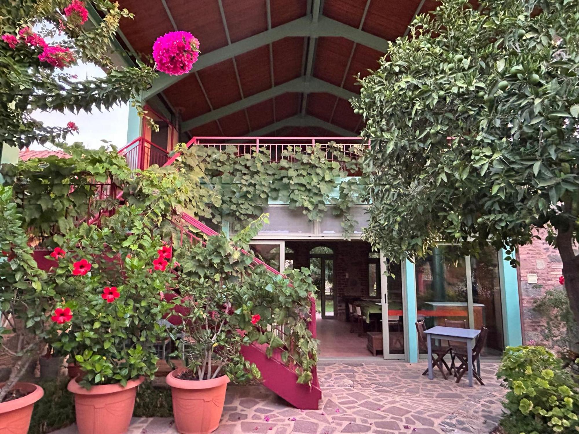 Villa Daphnis & Chloe Pyrgi Thermis Exterior photo