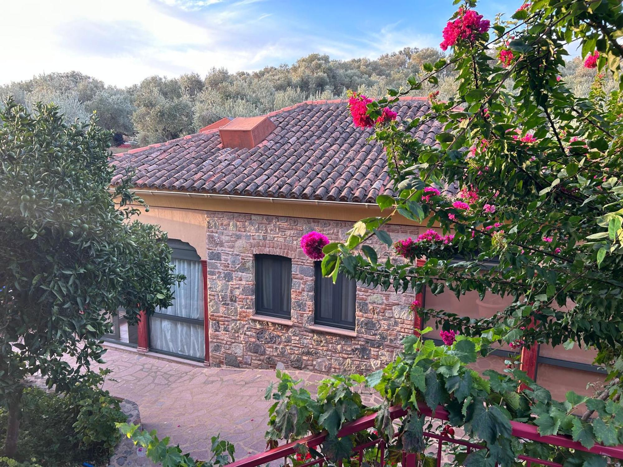 Villa Daphnis & Chloe Pyrgi Thermis Exterior photo